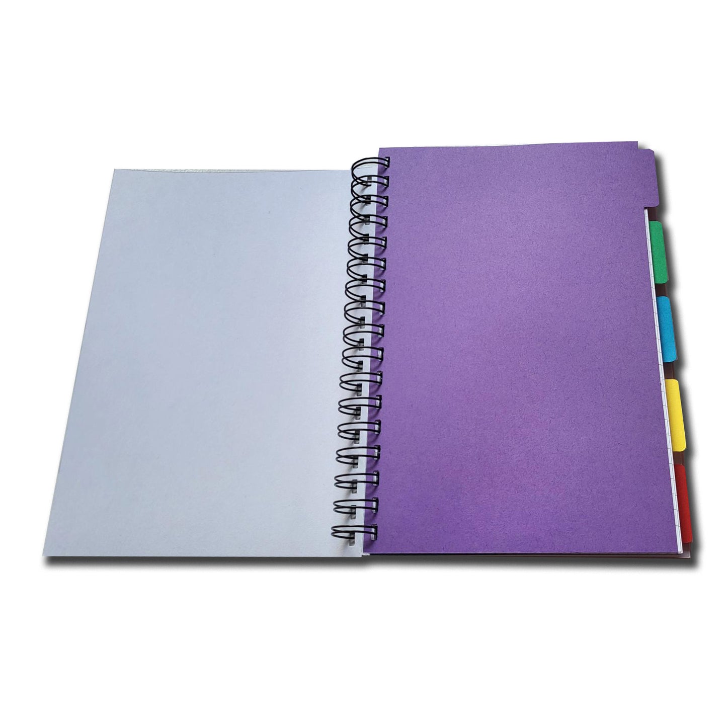 5 Subject Divider Project Book| Assorted Sections or Ruled Only | 100 sheets | B5-176mm x 250mm | Ruled, Graph, Dotted, Plain | 100gsm