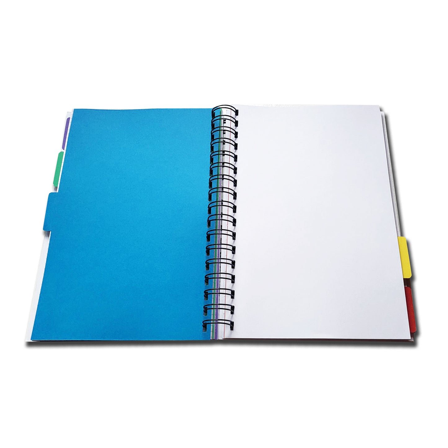 5 Subject Divider Project Book| Assorted Sections or Ruled Only | 100 sheets | B5-176mm x 250mm | Ruled, Graph, Dotted, Plain | 100gsm