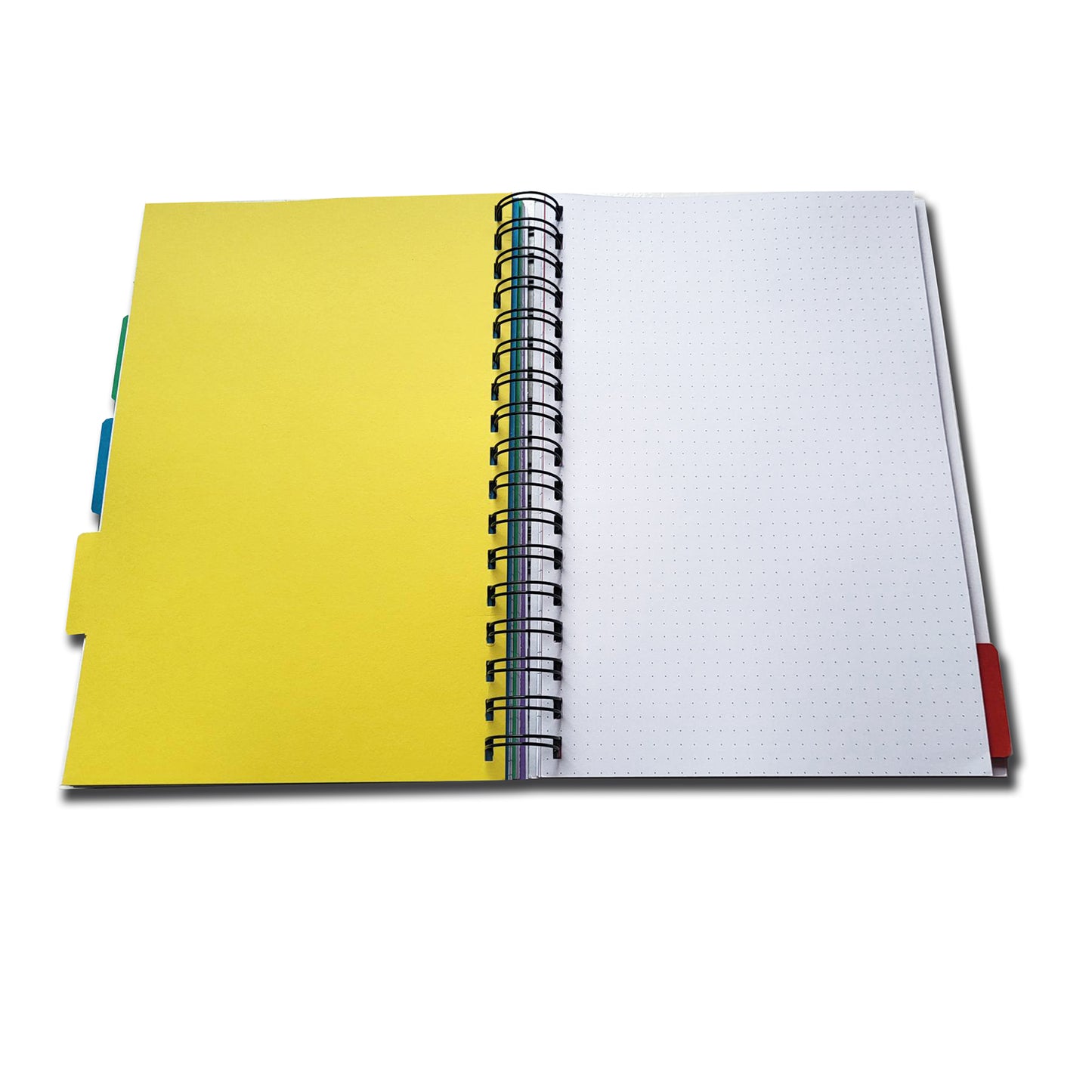 5 Subject Divider Project Book| Assorted Sections or Ruled Only | 100 sheets | B5-176mm x 250mm | Ruled, Graph, Dotted, Plain | 100gsm