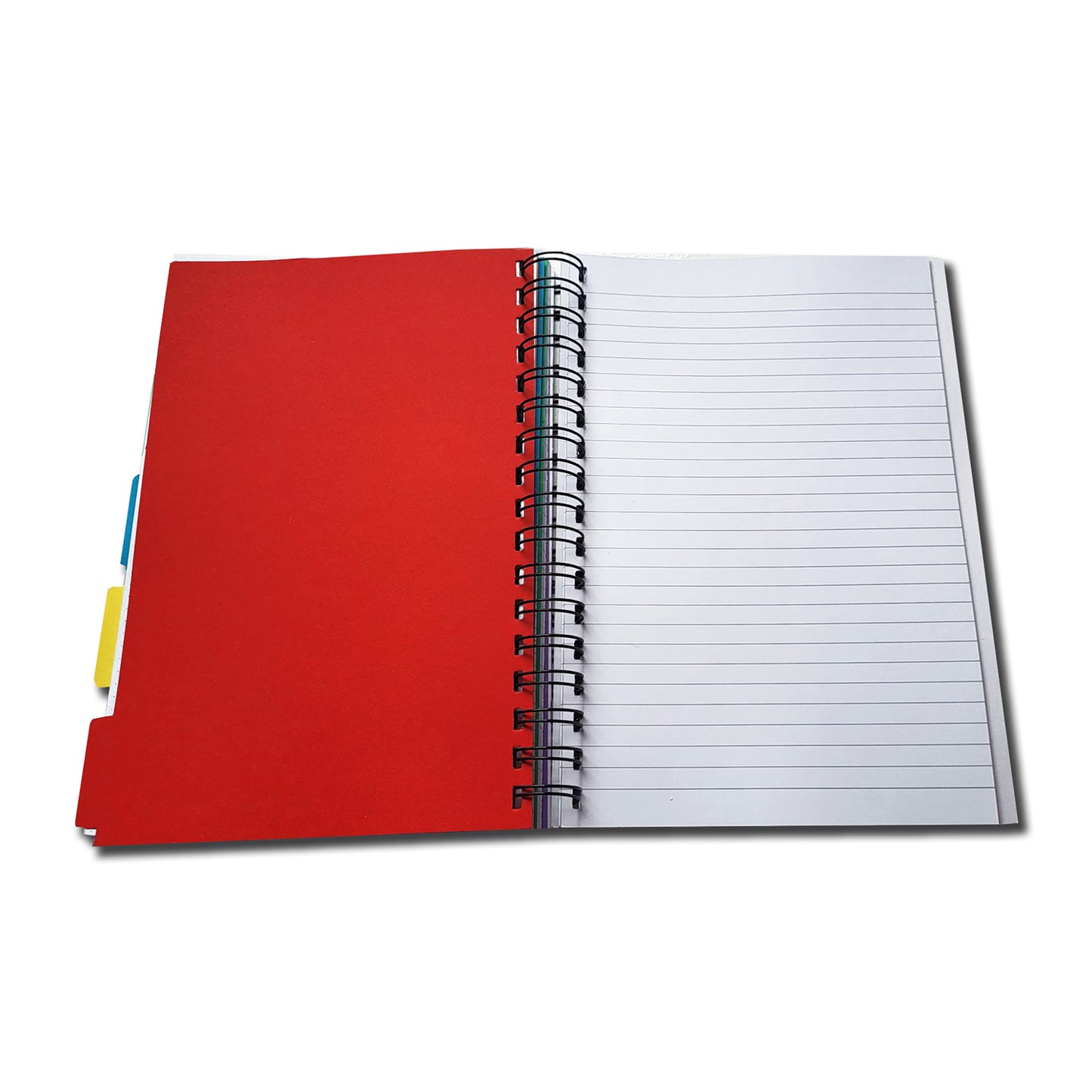 5 Subject Divider Project Book| Assorted Sections or Ruled Only | 100 sheets | B5-176mm x 250mm | Ruled, Graph, Dotted, Plain | 100gsm