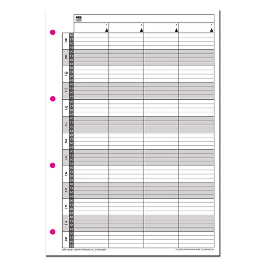 Daily Appointment Agenda Sheets | Undated | A4 |100 sheets | 200 page | 160gsm | 4 or 6 Columns