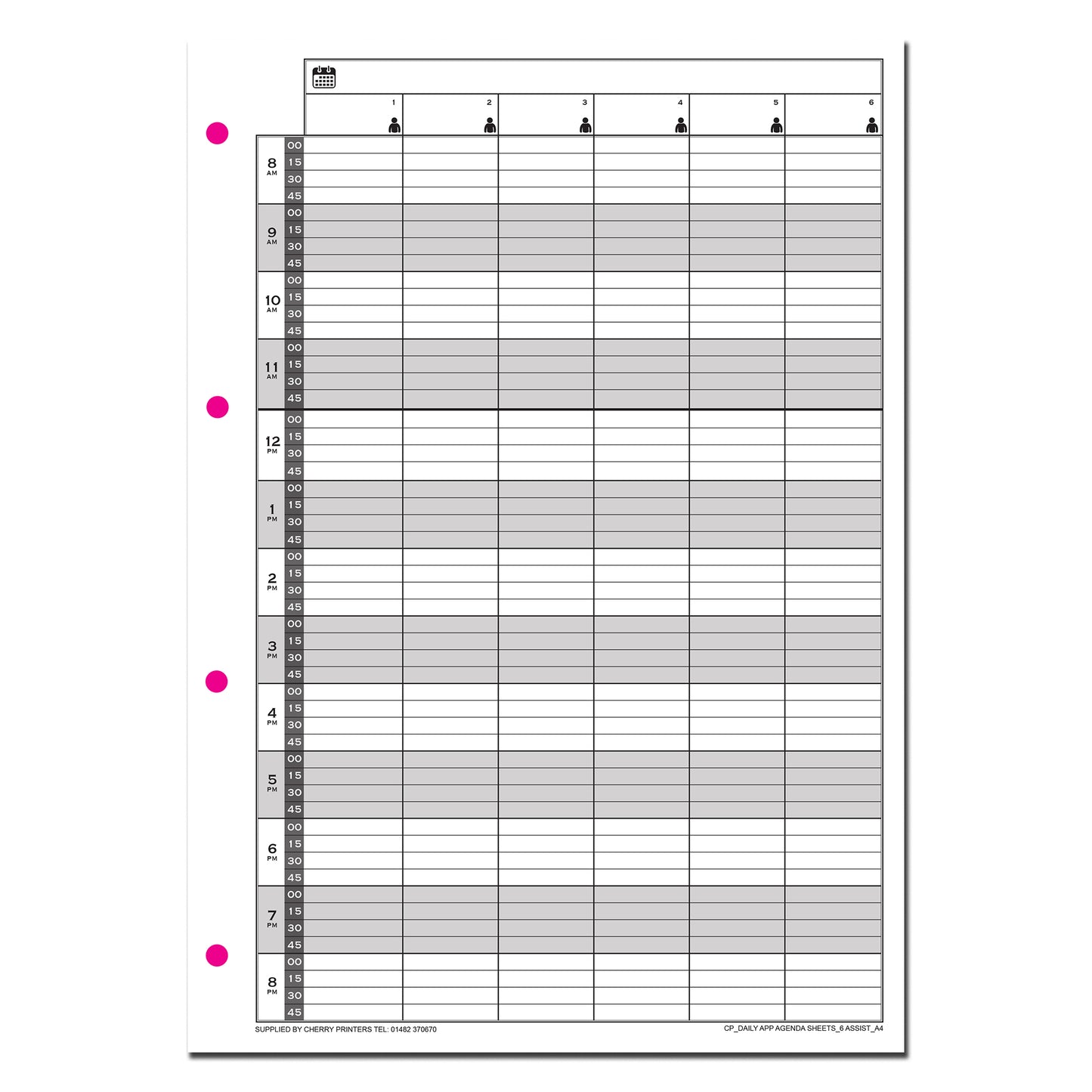 Daily Appointment Agenda Sheets | Undated | A4 |100 sheets | 200 page | 160gsm | 4 or 6 Columns