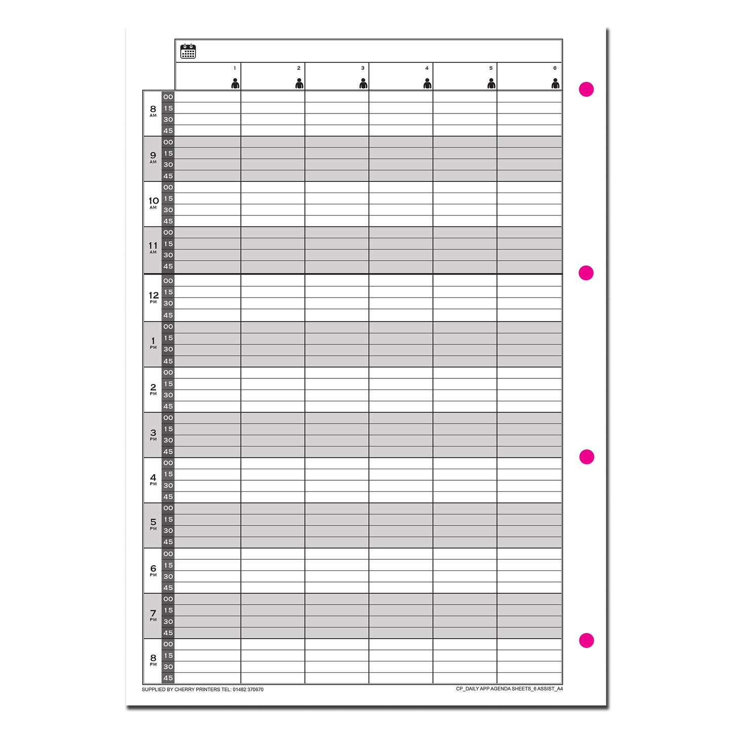 Daily Appointment Agenda Sheets | Undated | A4 |100 sheets | 200 page | 160gsm | 4 or 6 Columns