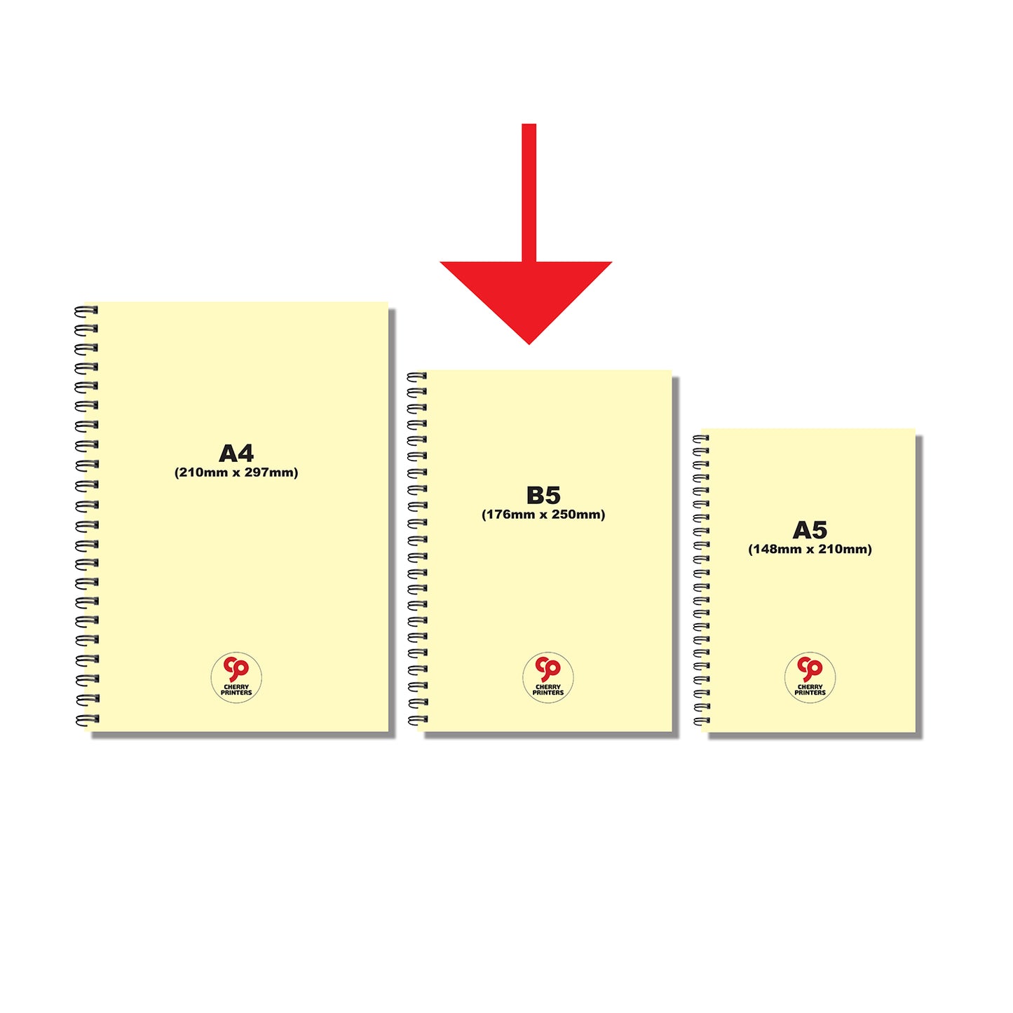 5 Subject Divider Project Book| Assorted Sections or Ruled Only | 100 sheets | B5-176mm x 250mm | Ruled, Graph, Dotted, Plain | 100gsm